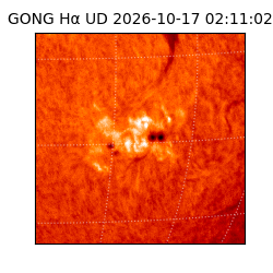 gong - 2026-10-17T02:11:02