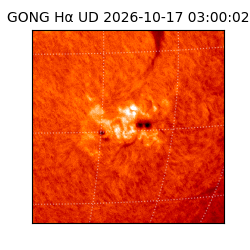 gong - 2026-10-17T03:00:02