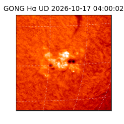 gong - 2026-10-17T04:00:02
