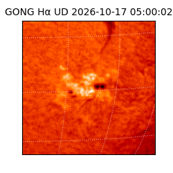 gong - 2026-10-17T05:00:02