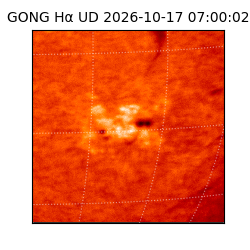 gong - 2026-10-17T07:00:02