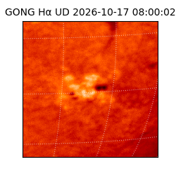 gong - 2026-10-17T08:00:02