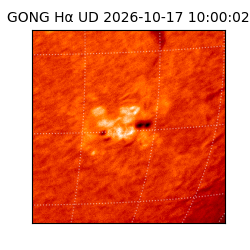 gong - 2026-10-17T10:00:02