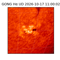 gong - 2026-10-17T11:00:02