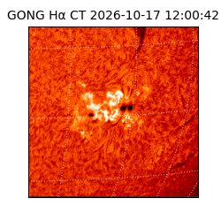 gong - 2026-10-17T12:00:42