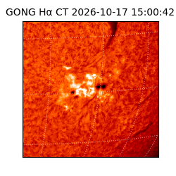 gong - 2026-10-17T15:00:42