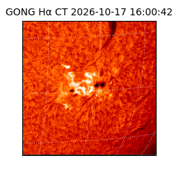 gong - 2026-10-17T16:00:42