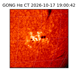 gong - 2026-10-17T19:00:42