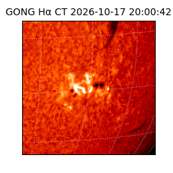 gong - 2026-10-17T20:00:42