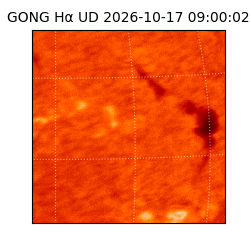 gong - 2026-10-17T09:00:02