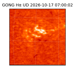gong - 2026-10-17T07:00:02