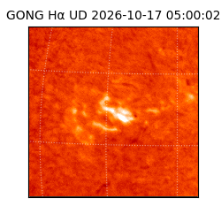 gong - 2026-10-17T05:00:02