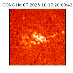 gong - 2026-10-17T20:00:42