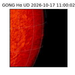 gong - 2026-10-17T11:00:02