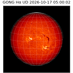 gong - 2026-10-17T05:00:02