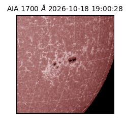 saia - 2026-10-18T19:00:28.716000