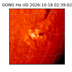 gong - 2026-10-18T02:39:02