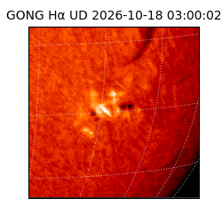 gong - 2026-10-18T03:00:02