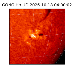 gong - 2026-10-18T04:00:02