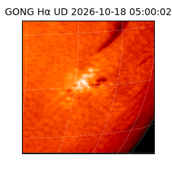 gong - 2026-10-18T05:00:02