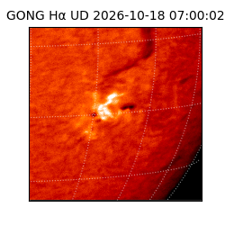 gong - 2026-10-18T07:00:02