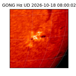 gong - 2026-10-18T08:00:02