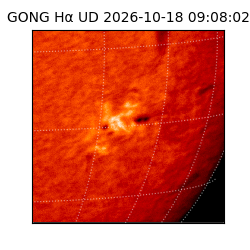 gong - 2026-10-18T09:08:02