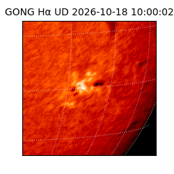 gong - 2026-10-18T10:00:02