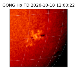 gong - 2026-10-18T12:00:22