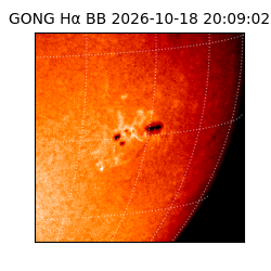 gong - 2026-10-18T20:09:02