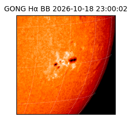 gong - 2026-10-18T23:00:02