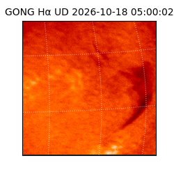 gong - 2026-10-18T05:00:02