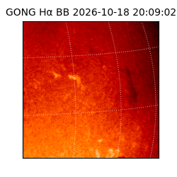gong - 2026-10-18T20:09:02