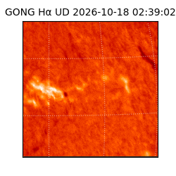 gong - 2026-10-18T02:39:02