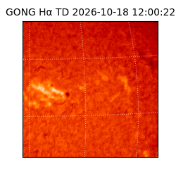 gong - 2026-10-18T12:00:22