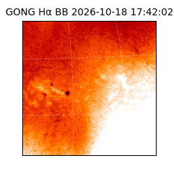 gong - 2026-10-18T17:42:02