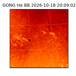 gong - 2026-10-18T20:09:02