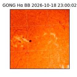 gong - 2026-10-18T23:00:02