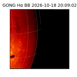 gong - 2026-10-18T20:09:02