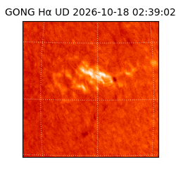 gong - 2026-10-18T02:39:02