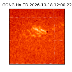 gong - 2026-10-18T12:00:22