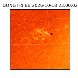 gong - 2026-10-18T23:00:02