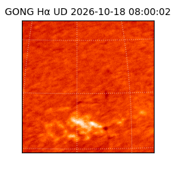 gong - 2026-10-18T08:00:02