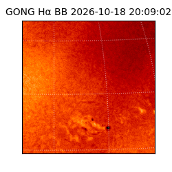 gong - 2026-10-18T20:09:02