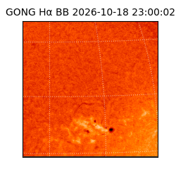 gong - 2026-10-18T23:00:02