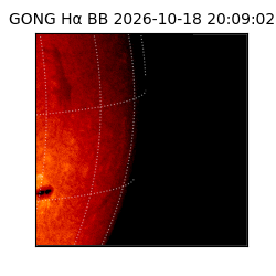gong - 2026-10-18T20:09:02