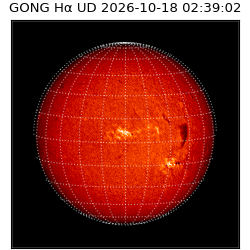 gong - 2026-10-18T02:39:02