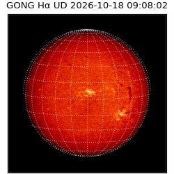 gong - 2026-10-18T09:08:02
