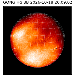 gong - 2026-10-18T20:09:02