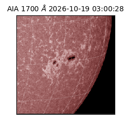 saia - 2026-10-19T03:00:28.717000